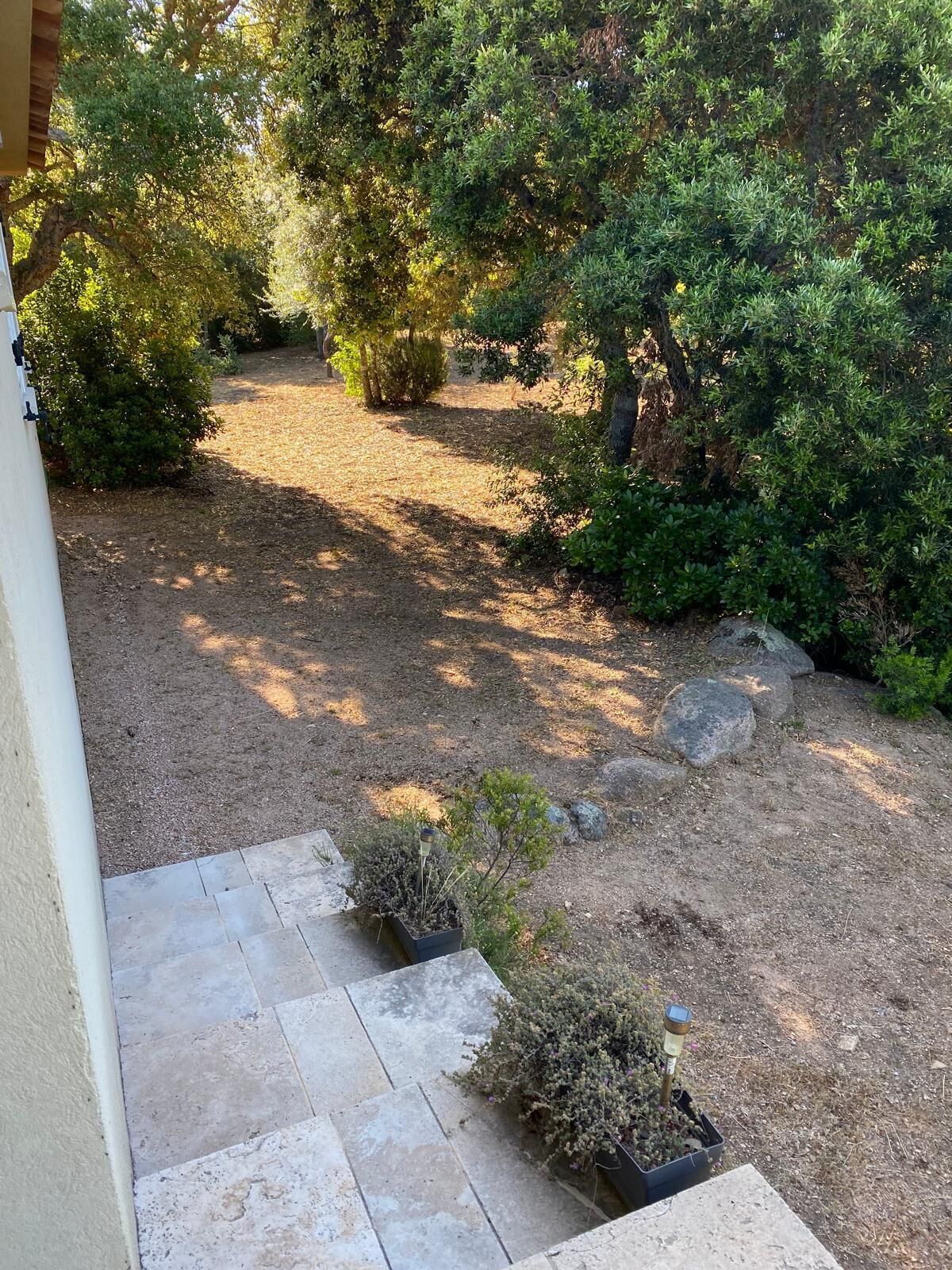 A garden with a gravel path, potted plants, and a stone staircase leading to a building.