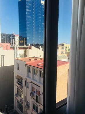 Vista des de l'allotjament