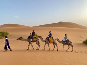 A group of people riding camels across a desert landscape with sand dunes in the background. - Dihya Desert Camp (Taouz)