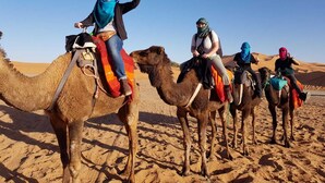 Un grupo de personas montando camellos en un desierto.