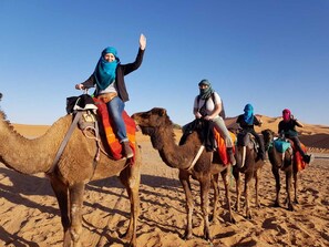 A group of people riding camels in a desert. - Dihya Desert Camp (Taouz)