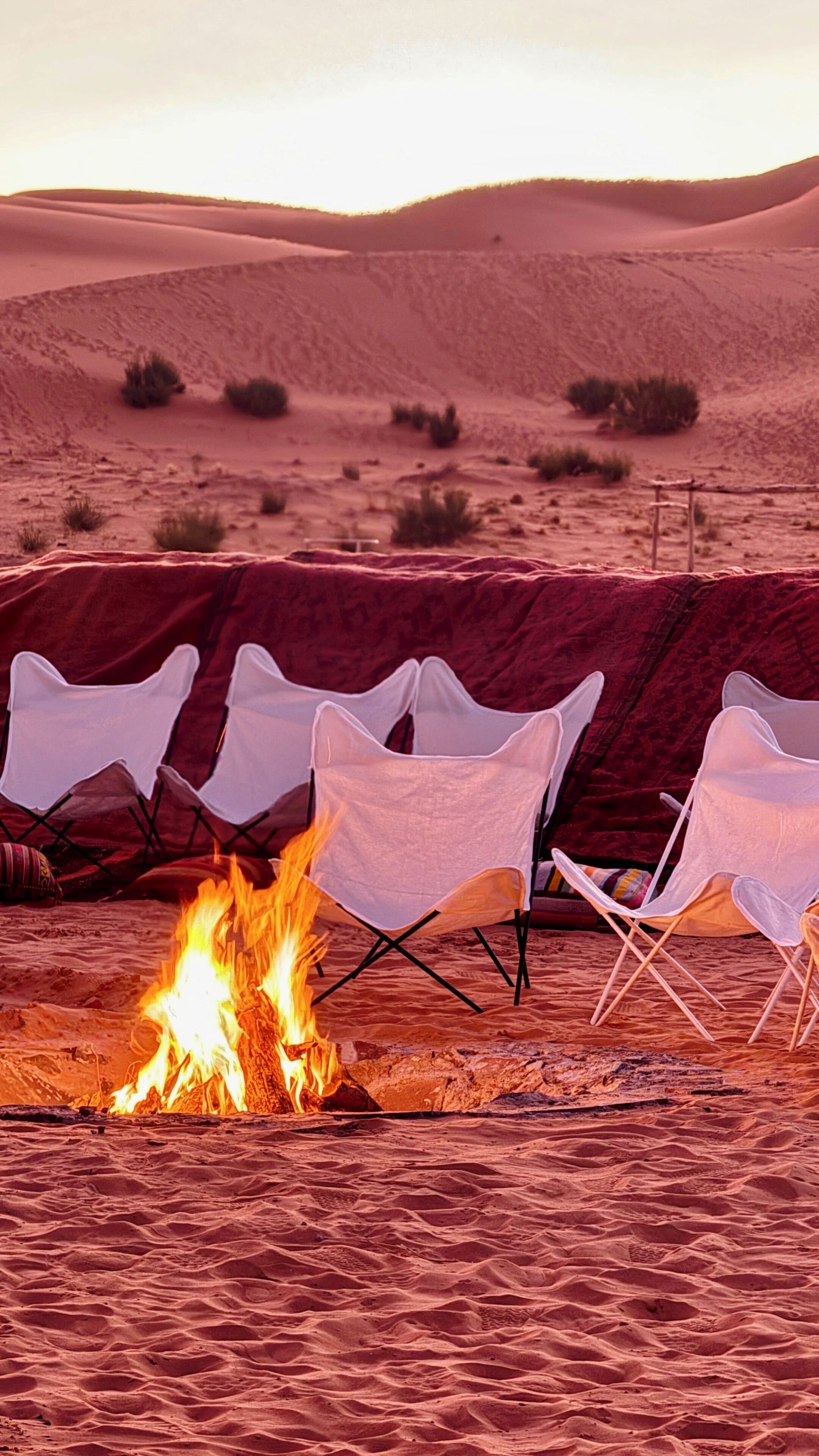 A desert campsite with a fire, several white folding chairs, and a blanket.