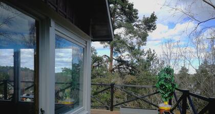 Cottage vue mer haut dans les arbres