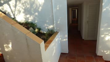 Detalhe da fachada