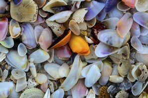Uitzicht op strand/zee
