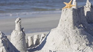 Un château de sable surmonté d’une étoile de mer, situé sur une plage avec l’océan en arrière-plan.