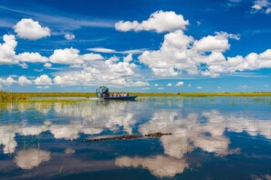A boat on a calm water body with reflections of clouds and vegetation.