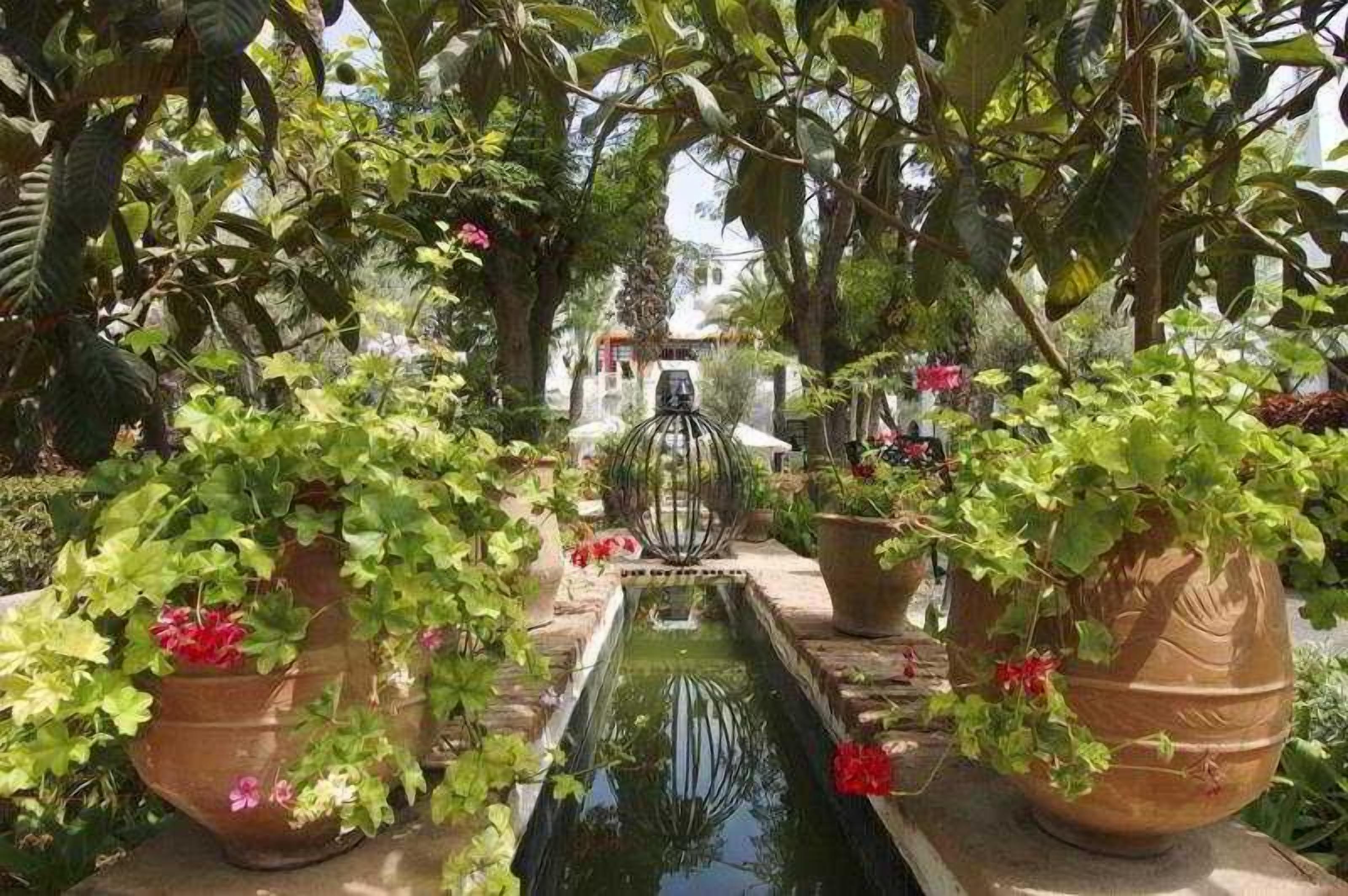 Un jardín con una fuente central, rodeado de plantas en macetas y una estructura metálica.
