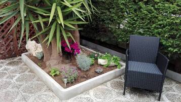 Un jardín con un árbol, diversas plantas y una silla.