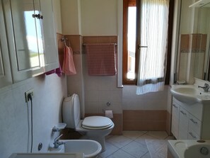 Combined shower/bathtub, hair dryer, bidet, towels
