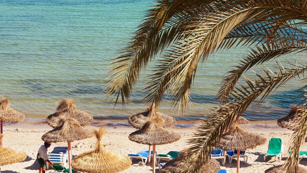 Una playa con sombrillas de paja, sillas de descanso y un mar tranquilo.