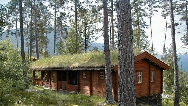 Eksteriør