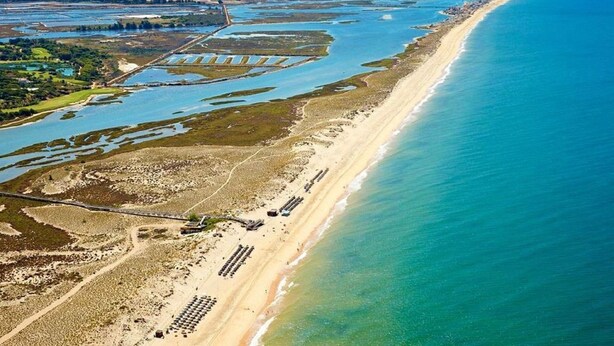 Luchtbeeld van een kustgebied met een zandstrand, helderblauw water en een reeks rechthoekige waterlichamen.