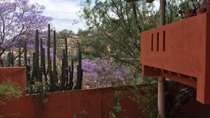 Front of property - Casa Terracota (Irapuato)