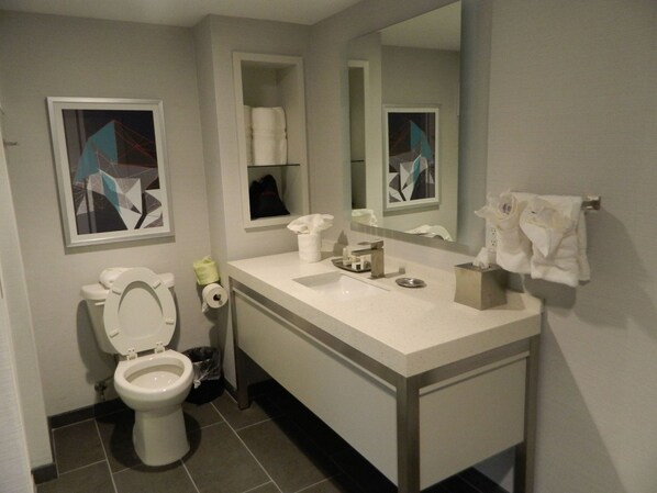 A bathroom with a toilet, sink, mirror, and a towel rack. - Hotel Indigo Harrisburg Hershey, an IHG Hotel (Harrisburg)