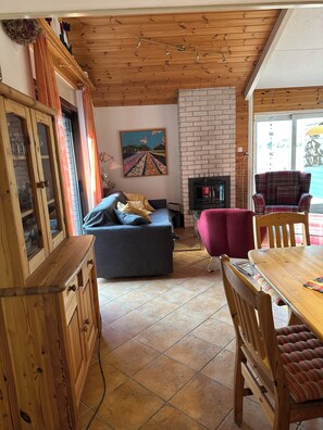 Een smart-tv, een open haard, boeken en een stereo