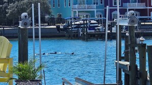 A waterfront property with a dock, a colorful potted plant, and a yellow chair.