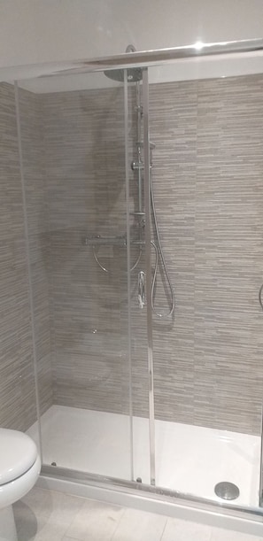 Shower, hair dryer, bidet, towels