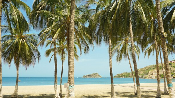 A beach with palm trees and a clear view of the ocean. - Hostal Paraiso Tayrona (Santa Marta)