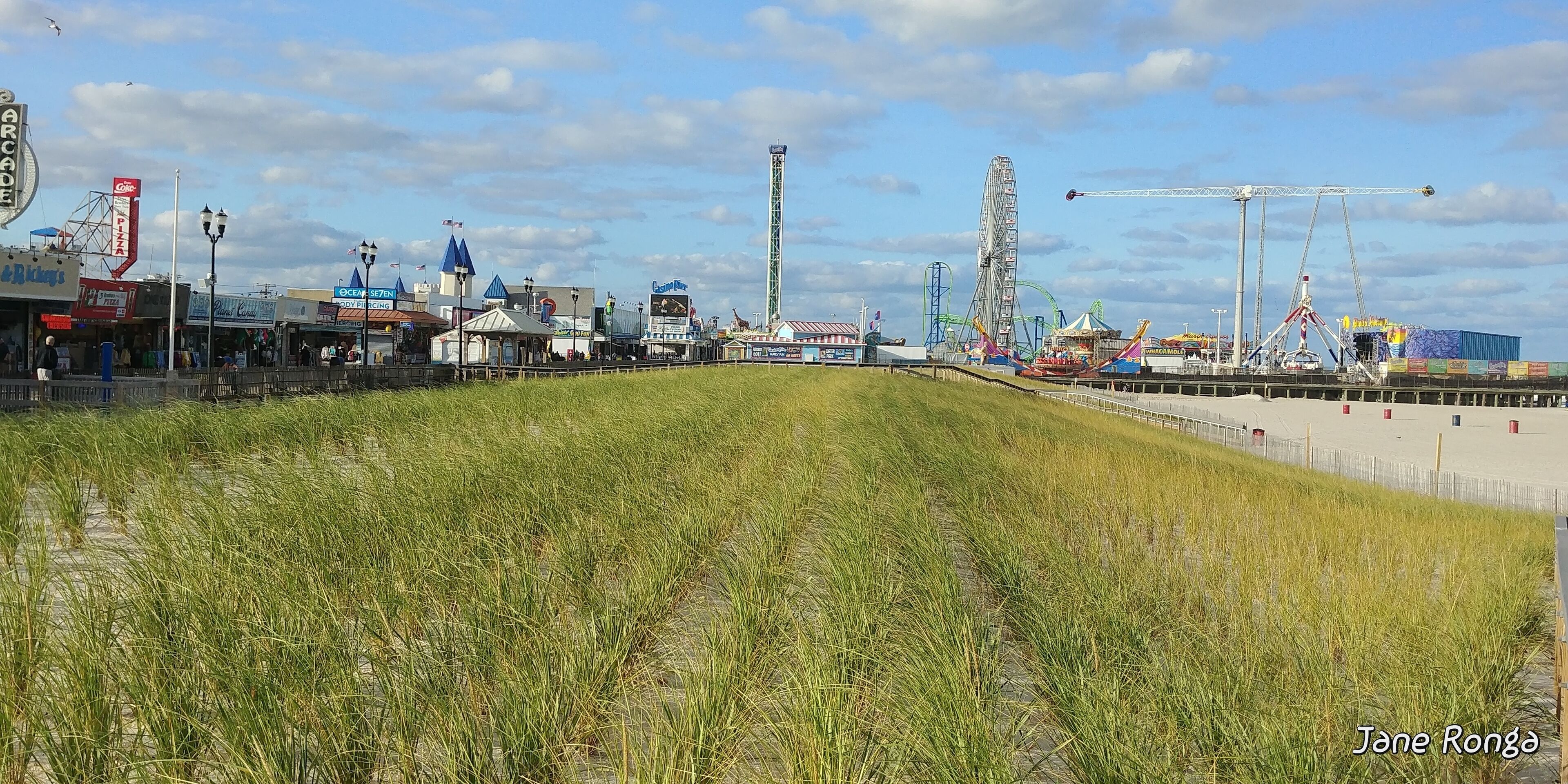 10 Best PetFriendly Rentals In Seaside Heights, New Jersey Updated