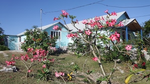 A house with a blue exterior and a garden with pink flowers.