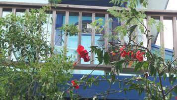 Detalle del exterior