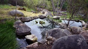 Ein natürlicher Teich, umgeben von Steinen und Vegetation.