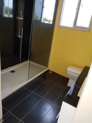 A bathroom with a glass-enclosed shower, a toilet, and black tiled flooring.