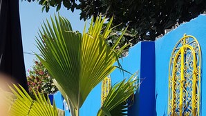A potted plant in a large yellow pot, a blue wall with a decorative window, and a tiled patio area. - Camara Gardens Apartments with Pool (Brufut)
