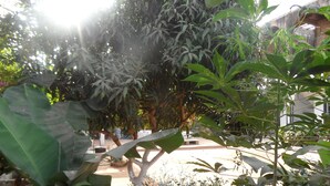 A garden with various plants and a tree in the center. - Camara Gardens Apartments with Pool (Brufut)