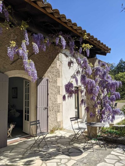 Charming house with swimming pool in the quiet Alpilles for 6 to 10 people