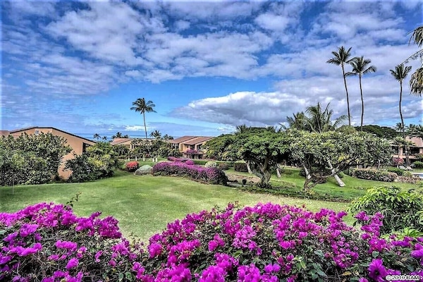 Greenbelt View from Kitchen