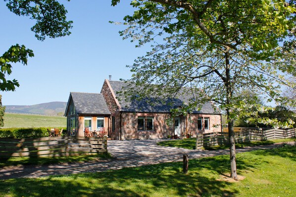 Eksteriør