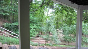 Unclassified image, 5 of 42, button - NEW! Ft Marcy 2 BR 1 LV/DRM 1 BA on Pimmit Run, hike/ kayak to the Potomac River (McLean)