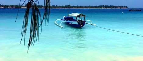 Plage Ă proximitĂ©, snorkeling, pĂȘche sur place