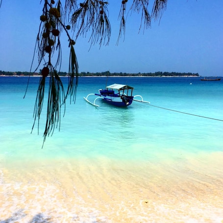 Una playa cerca, snorkel, pesca