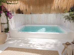Doppia Luxury, piscina privata | Piscina privata