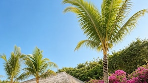 A resort with thatched-roof huts, palm trees, and a bamboo fence. - Samalas Boutique Hotel resort & Private Pool Villas (Gili Meno)