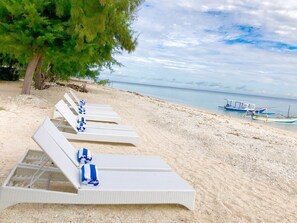 Playa en los alrededores, snorkel y pesca