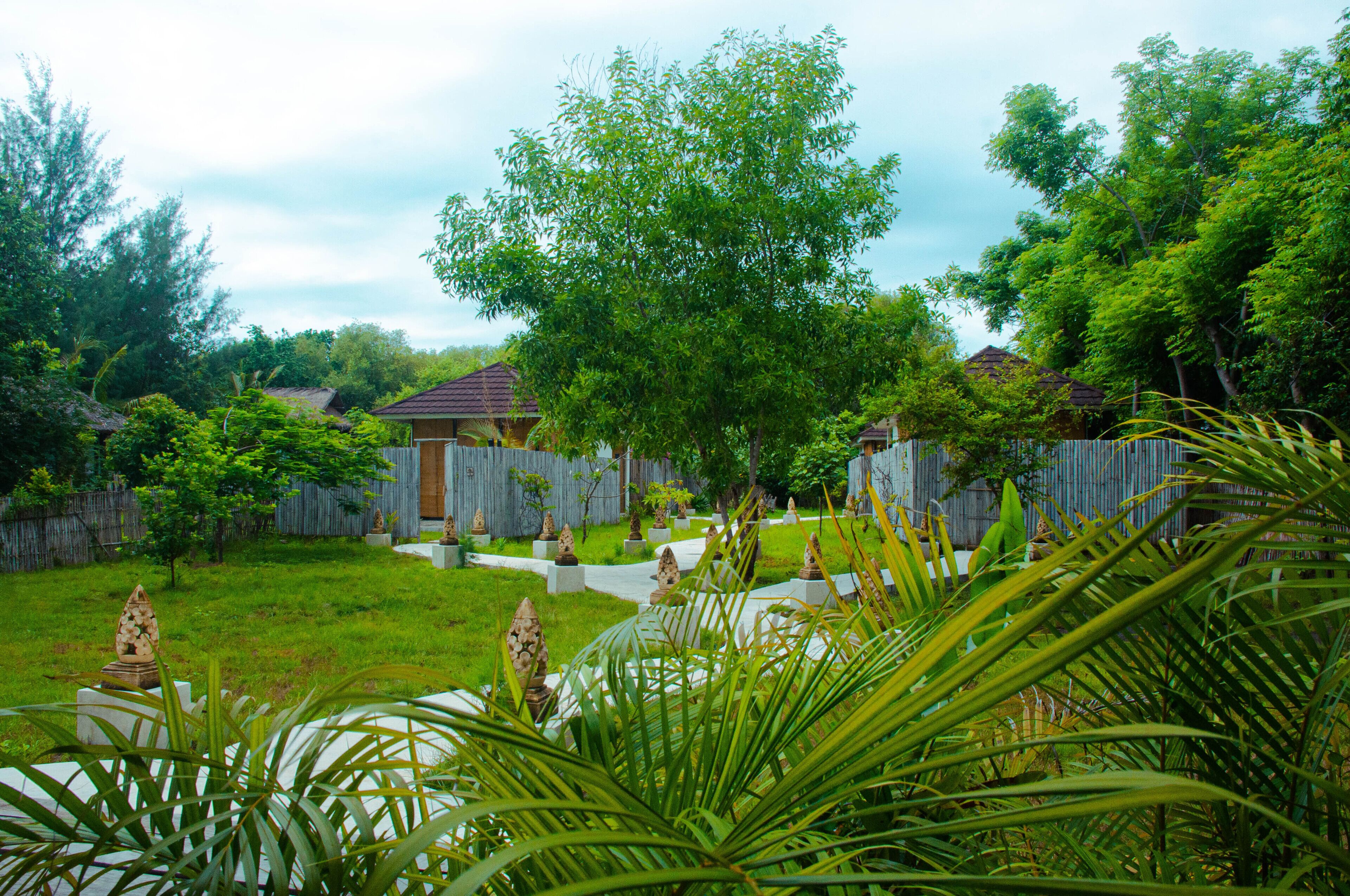 Comfort Villa | Garden view