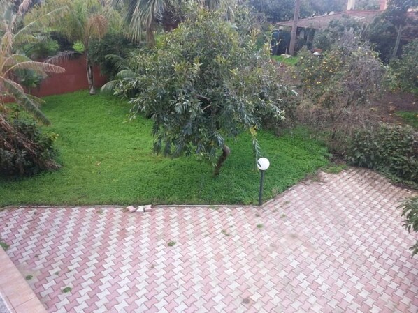 A garden with a paved area and various plants.