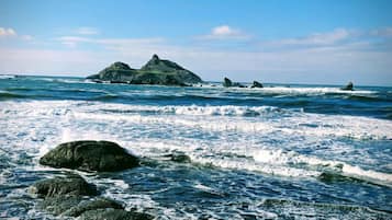 在海滩、沙滩毛巾