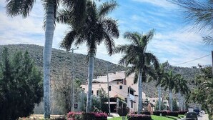 A residential street lined with palm trees and houses, with a clear sky and a hilly background. - Stunning 2br/2 KING Beds / Spectacular View & Best Location - Expansive Balcony  (Cabo San Lucas)