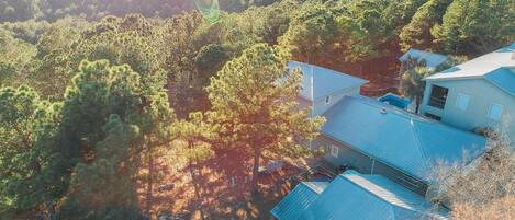 Vista aérea de una casa rodeada de un bosque frondoso, con cielo despejado y luz del sol filtrándose entre los árboles.