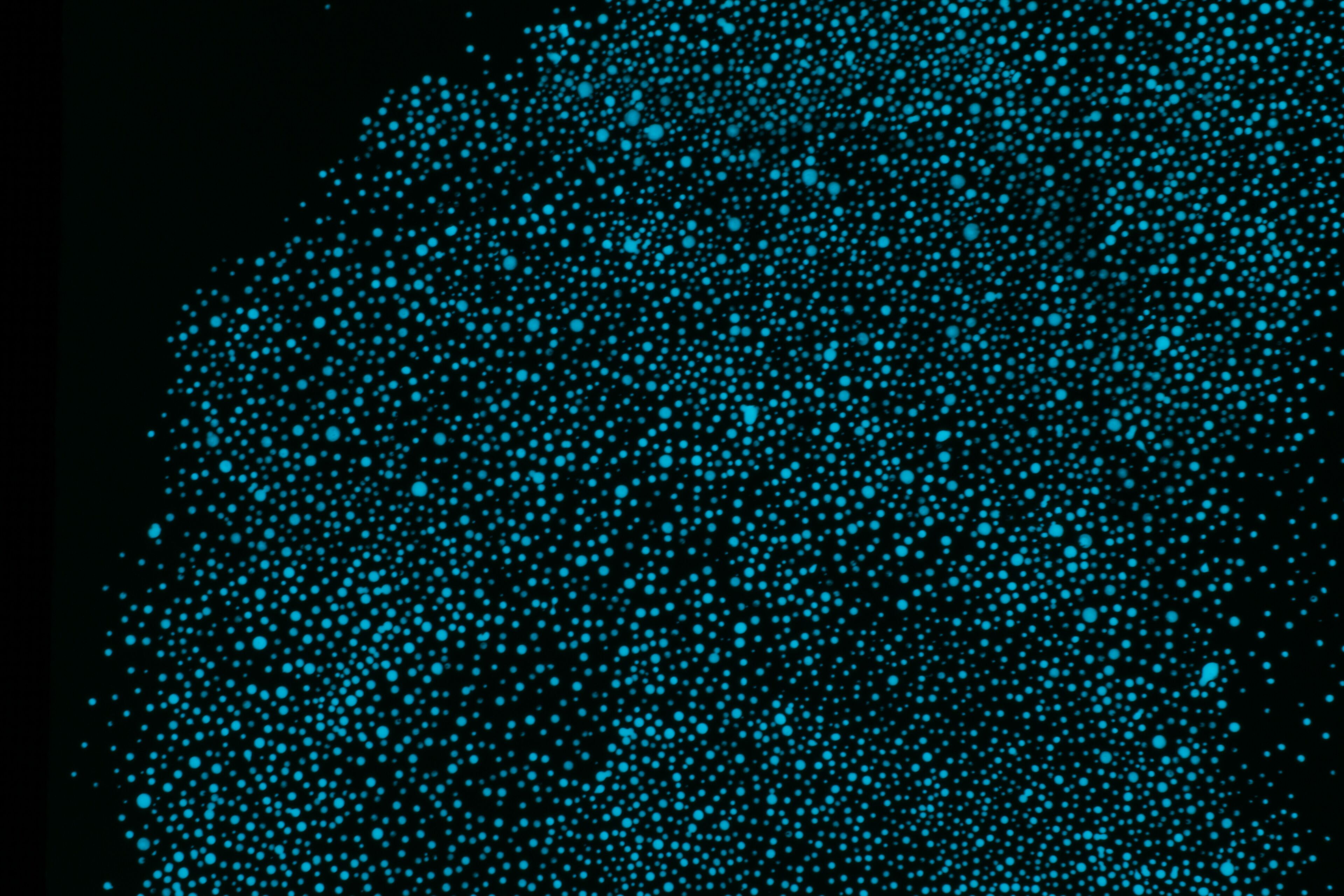 delux suite - eye - 1003 | 1 bedroom, premium bedding, down duvets, pillow-top beds