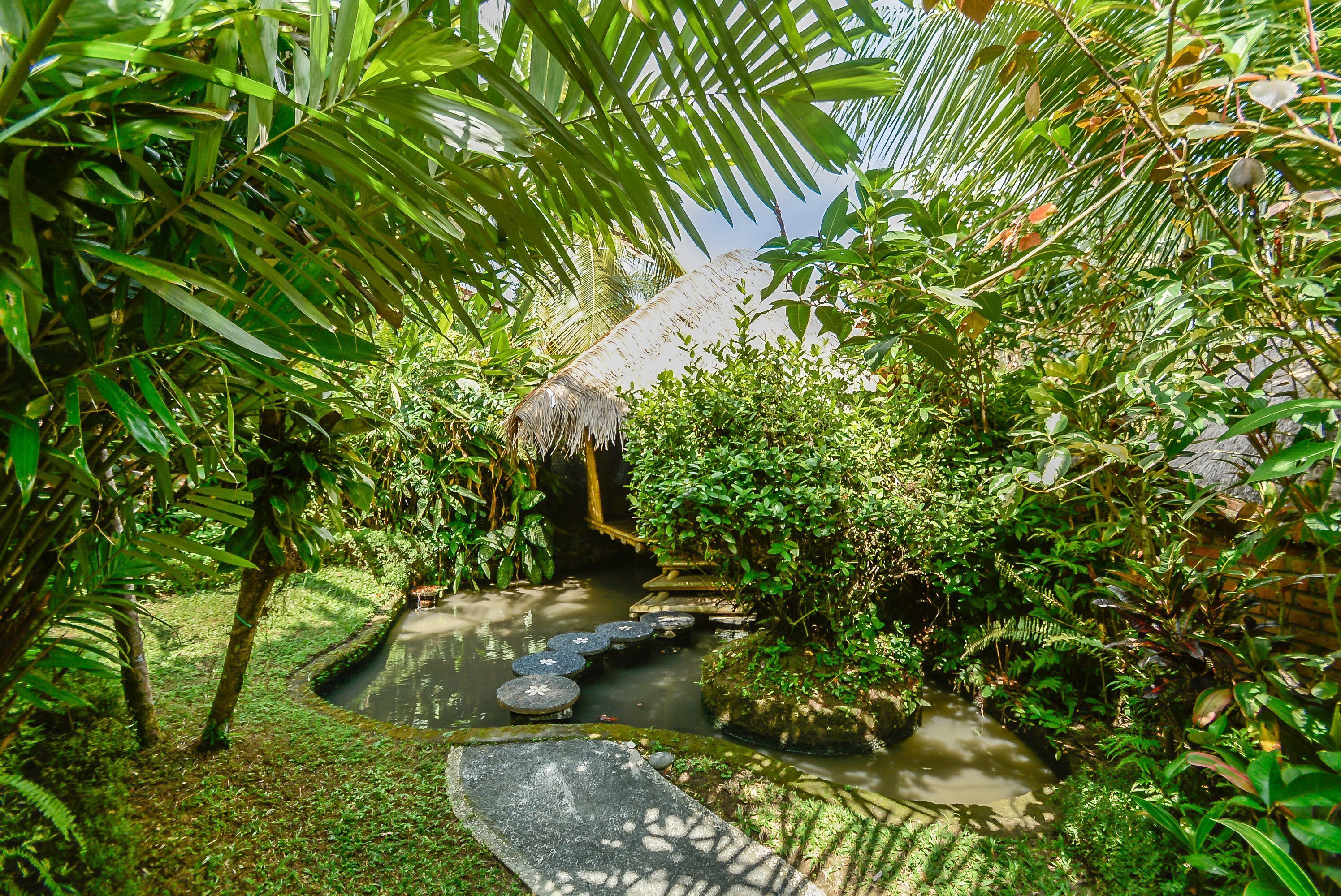 Un jardín tranquilo con una pequeña fuente de agua, escalones de piedra y abundante vegetación.