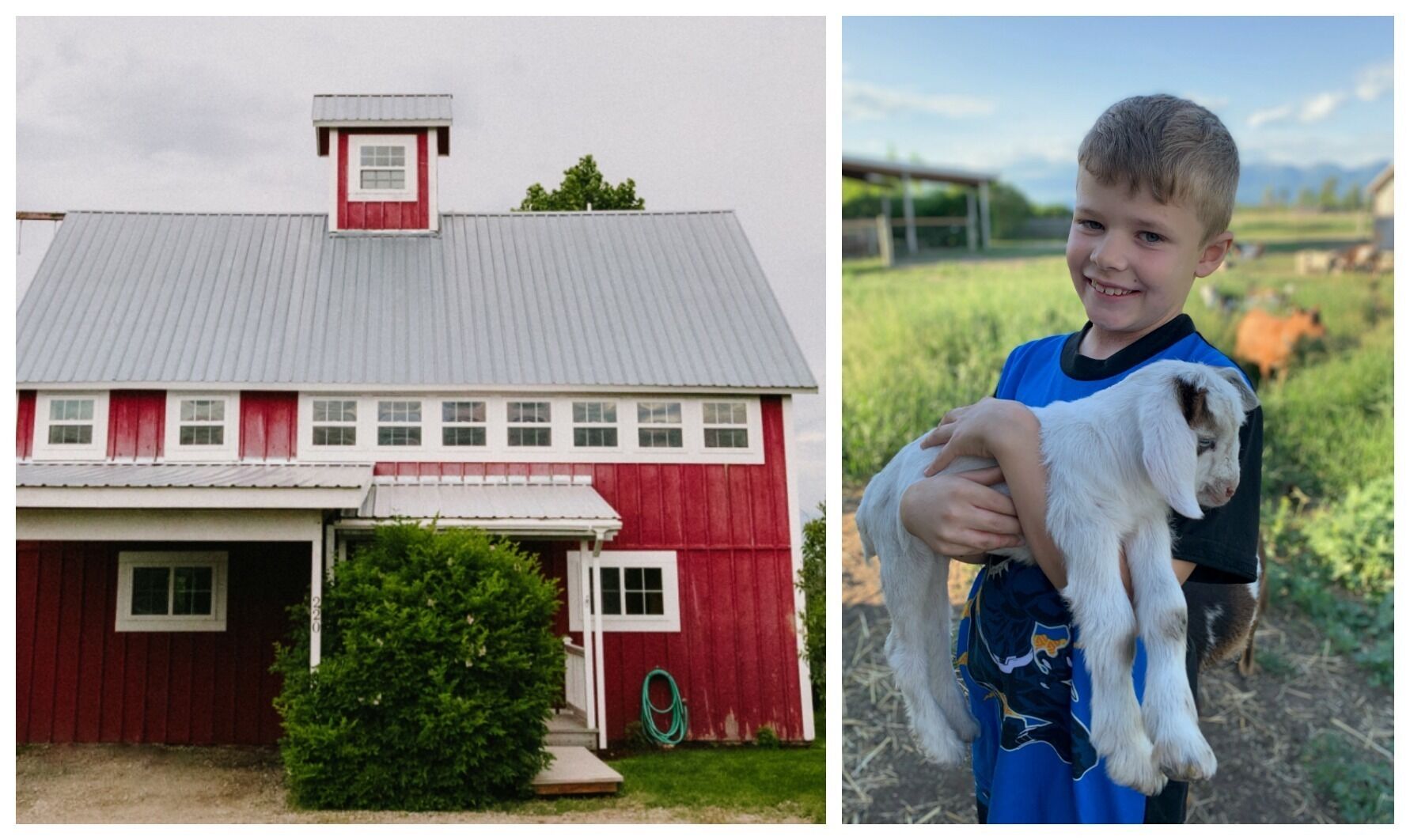 Fantastic Working Farm near Flathead Lake
