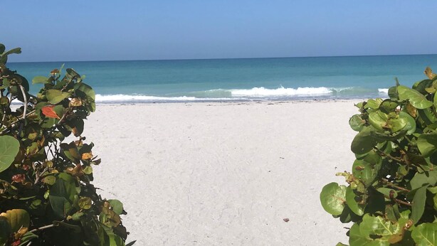 On the beach, sun-loungers, beach towels - The Barefoot Bungalow (Englewood)