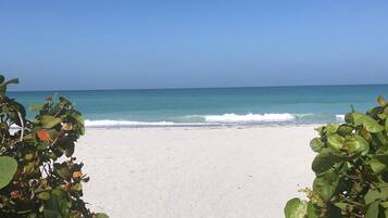 Accommodatie ligt op het strand, ligstoelen, strandlakens