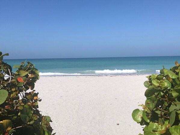 On the beach, sun-loungers, beach towels